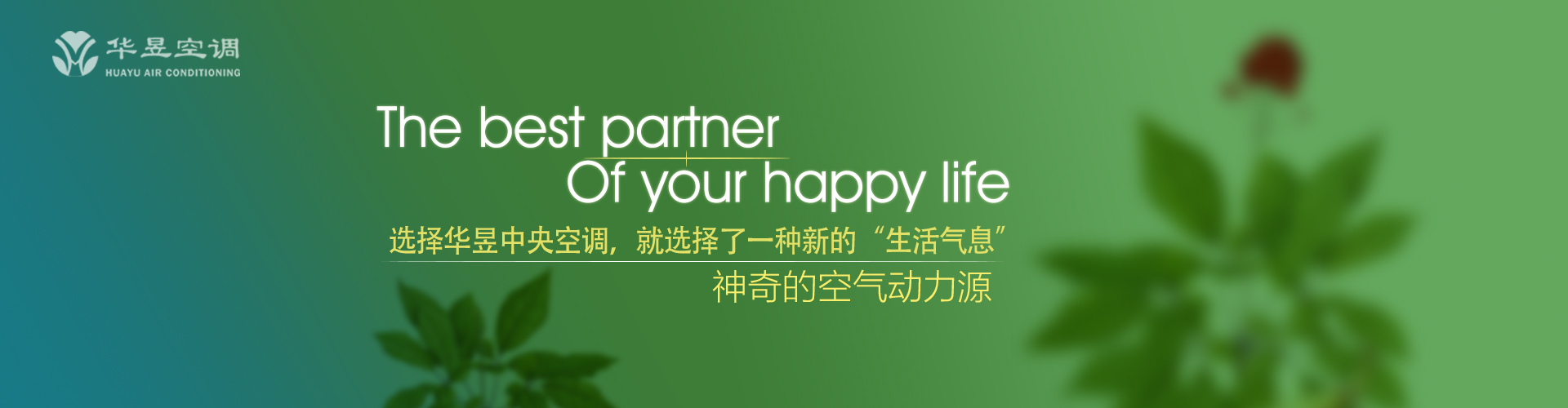 前所未有网